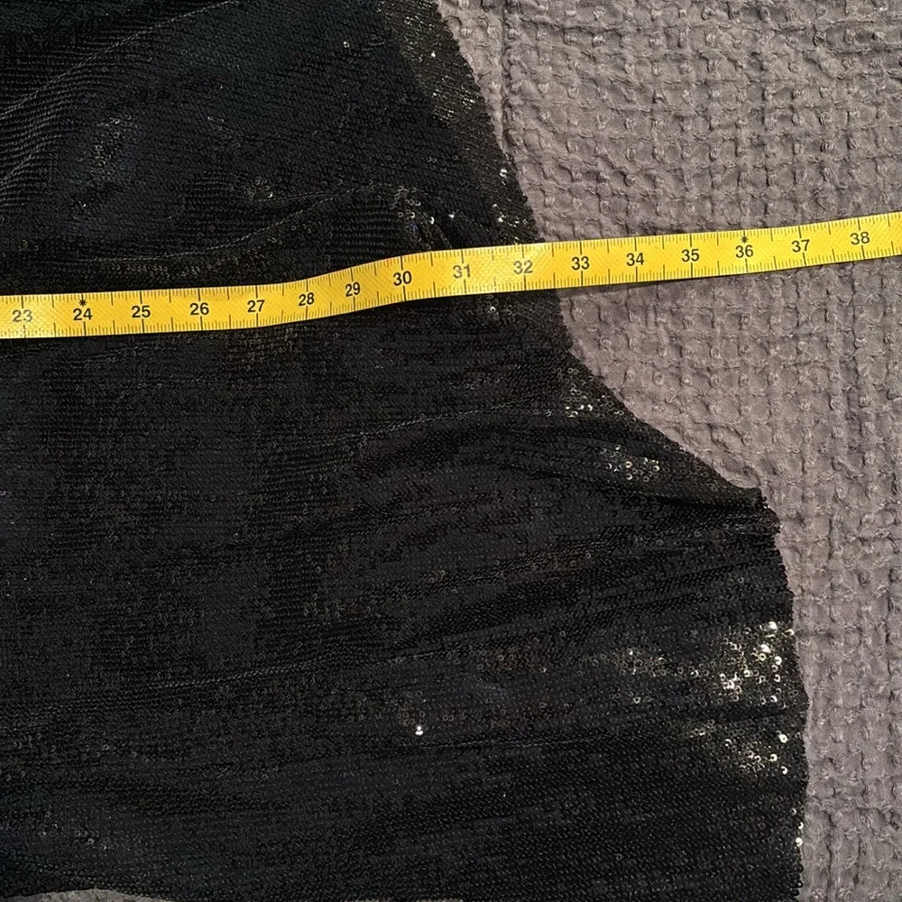 A.L.C. Tori asymmetric pleated sequined tulle midi skirt sz 2 NWT - Picture 9 of 13